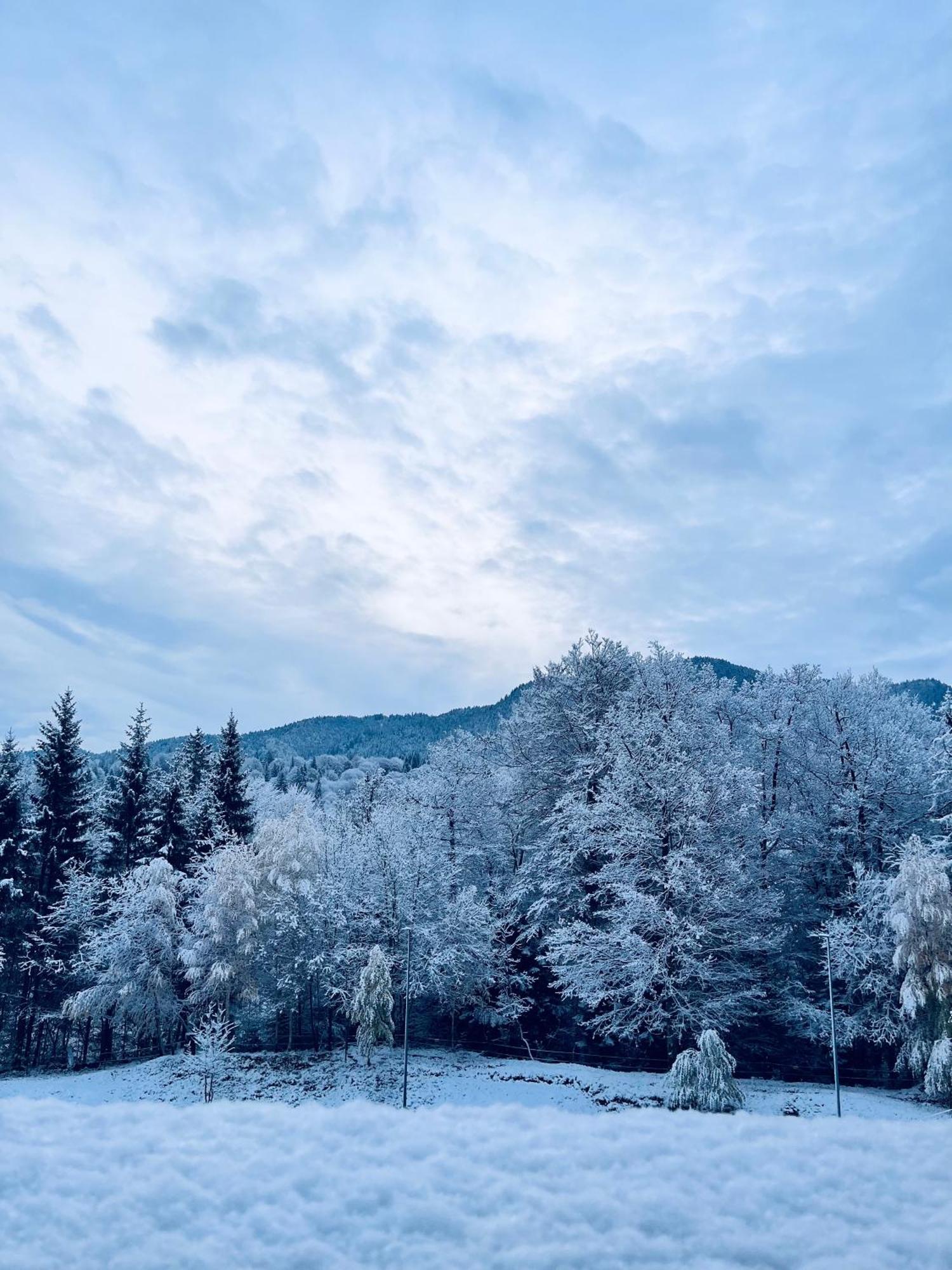 Mountain Nest In Silver Mountain Poiana Brasov Luaran gambar